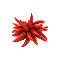 Bunch of bright red chili peppers arranged in a cluster on white background