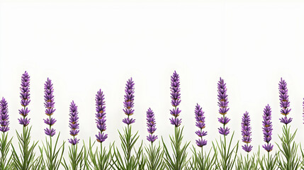Pixel Art Lavender Border On White Background