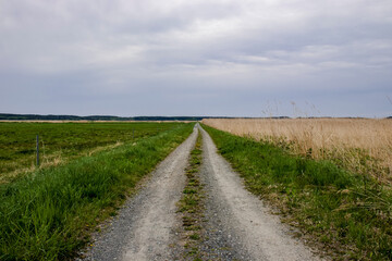 A road stretching into the distance.