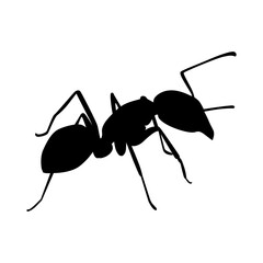 Best Black Ant Icons Vector On White Background. fits All vector flat icons related Insect isolated, or ant illustration. Simple illustration of Farmer ant vector icon for web design isolated.
