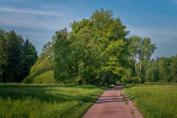 View of the alley along the Central Rosovopavilionny pond in the landscape part of the Pavlovsky Park Parade Field on a sunny summer day, Pavlovsk, St. Petersburg, Russia