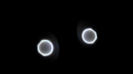 Prophase is the first phase of mitosis, the process that separates the duplicated genetic material carried in the nucleus of a parent cell into two identical daughter cells.