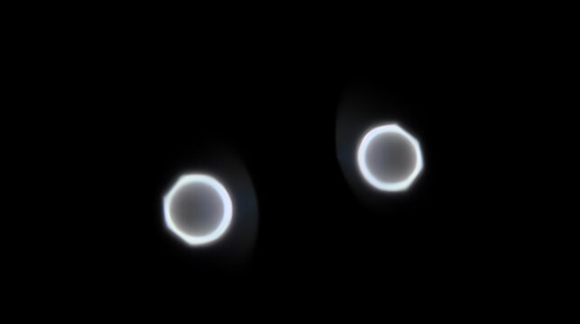Prophase is the first phase of mitosis, the process that separates the duplicated genetic material carried in the nucleus of a parent cell into two identical daughter cells.