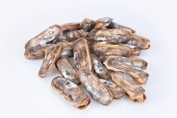 Fresh live king clams