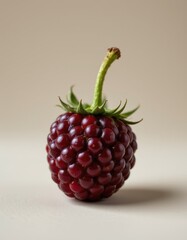 Fresh Raspberry with Stem