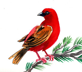 Bird on a tree branch. Hand drawn watercolor illustration