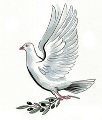 Flying white dove bird with olive branch. Hand drawn watercolor illustration
