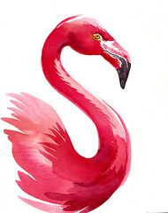 Flamingo bird head. Hand drawn watercolor illustration