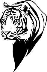 tiger head vector
