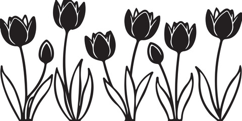 Beautiful black and white tulip flower vector illustration for spring floral design