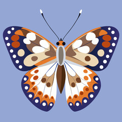 butterfly on blue background