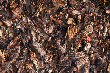 Bark chips covering soil creating natural texture