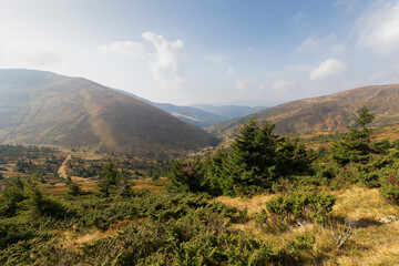 Carpathian countryside scenery. Mountain landscape of Ukraine