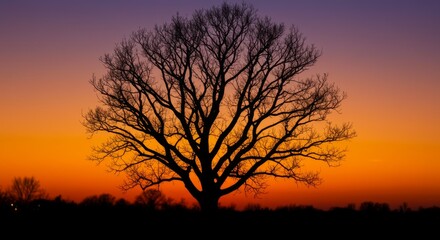 Fototapeta premium Sunset Silhouette Tree - A majestic tree silhouetted against a vibrant sunset sky, showcasing warm orange and purple hues