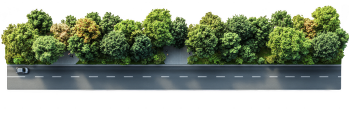 A single car drives along a multi-lane road lined with dense, leafy trees and a sidewalk. Png, Transparent background.