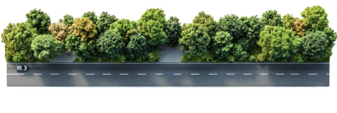 A single car drives along a multi-lane road lined with dense, leafy trees and a sidewalk. Png, Transparent background.