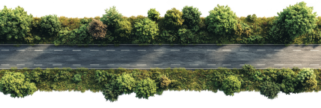 A straight empty road bordered by dense green trees seen from above. Png, Transparent background.