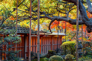 Hosen-in temple with colorful autumn gardens in Ohara, northern Kyoto