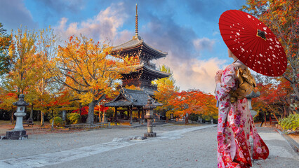 Japanese Woman in  Traditional Kimono Dress at Shinnyodo or Shinshogokurakuji temple with beautiful autumn scenario in Kyoto, Japan
