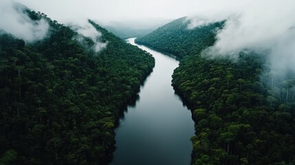 Aerial view of the Amazon rainforest, with rivers winding through dense greenery under a misty sky