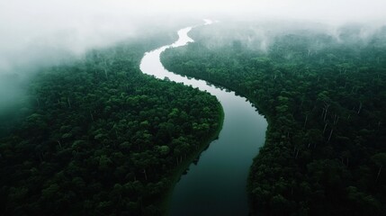 Aerial view of the Amazon rainforest, with rivers winding through dense greenery under a misty sky