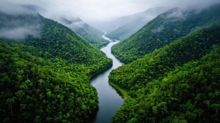 Aerial view of the Amazon rainforest, with rivers winding through dense greenery under a misty sky