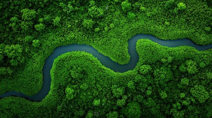 Aerial view of the Okavango Delta's intricate waterways, surrounded by wildlife and lush vegetation