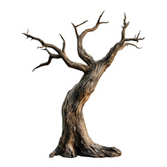 Twisted Dead Tree Isolated on Black Background