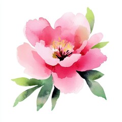 Beautiful Pink Flower With Green Leaves in Watercolor Style