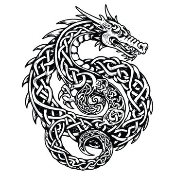 Intricate celtic dragon illustration with knotwork and detailed design in black and white for graphics