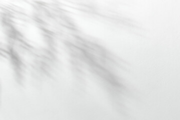 Minimalist spring on white background