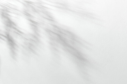 Minimalist spring on white background