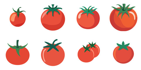 Multiple vector illustrations tomato, flat style

