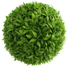 Lush Green Sphere of Fresh Leaves Ideal for Nature and Landscape Themes