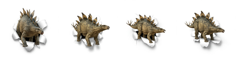 Fototapeta premium Stegosaurus Breaking Through - Four Stegosaurus dinosaurs burst through ripped white paper, creating a dynamic and exciting scene