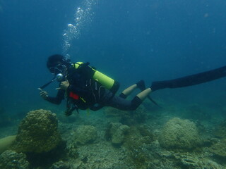 Coral found at coral reef area in Lang Tengah Island, Malaysia