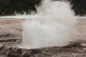 Geyser erupts in natural geothermal area, creating steam against rocky landscape in Yellowstone National Park during daytime
