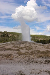 Geyser erupts in Yellowstone National Park showcasing natural wonder and geothermal activity during...
