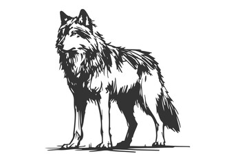 Grey Wolf hand drawn vector illustration