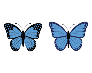Coloful morpho butterfly vector illustration set