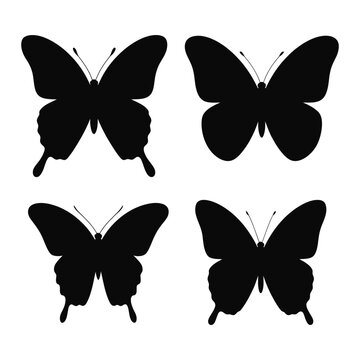 Blck butterfly vector silhouette illustration set