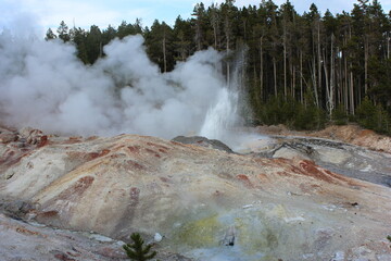 Hot springs and geysers create steam in Yellowstone National Park during a sunny day in summer
