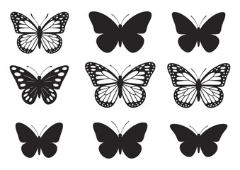 Various butterfly species vector collection


