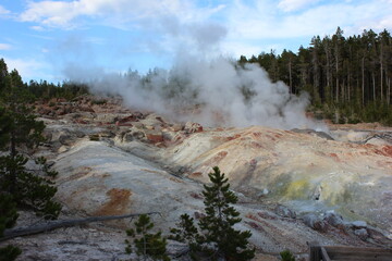 Geothermal features steaming in a wilderness area during daytime near a forest