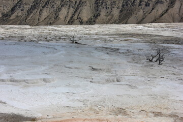 Unique geological formations at Yellowstone National Park with mineral deposits and dry trees under...
