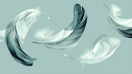 Delicate feathers are floating gently against a light blue background