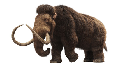 Mammoth isolated on white and transparent background, cut out png