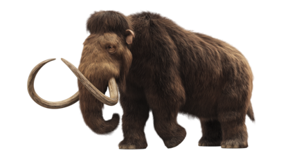 Mammoth isolated on white and transparent background, cut out png