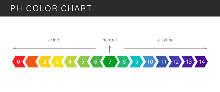 PH Scale. Gauge for acid and alkaline balance. Scale indicator for litmus paper test. Flat Vector illustration.