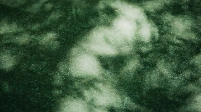 夏・初夏　石畳の地面に落ちる竹林の笹・竹の葉の影　風に揺れる美しい日本の陰影　キラキラ輝く太陽の光・木漏れ日のスローモーション　自然・天気の背景